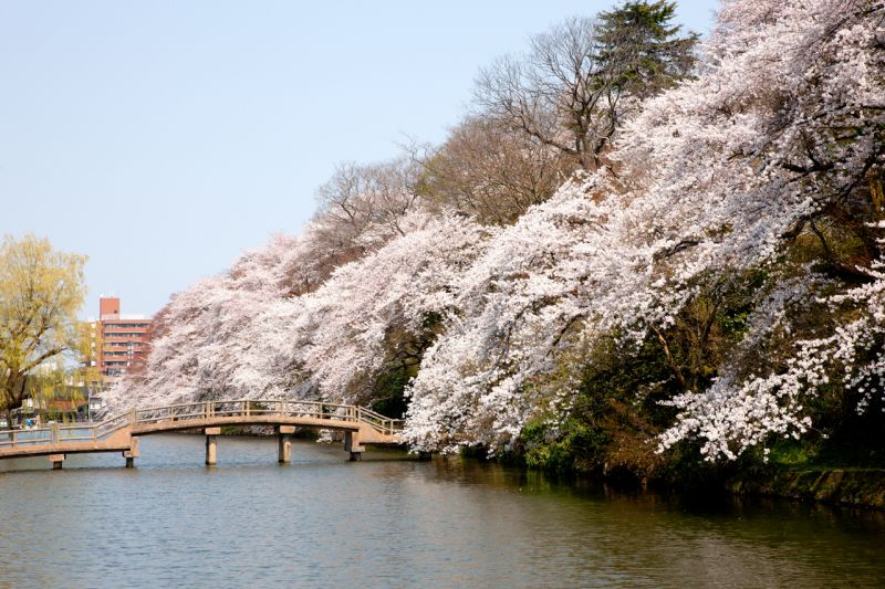 công viên thành Takaoka
